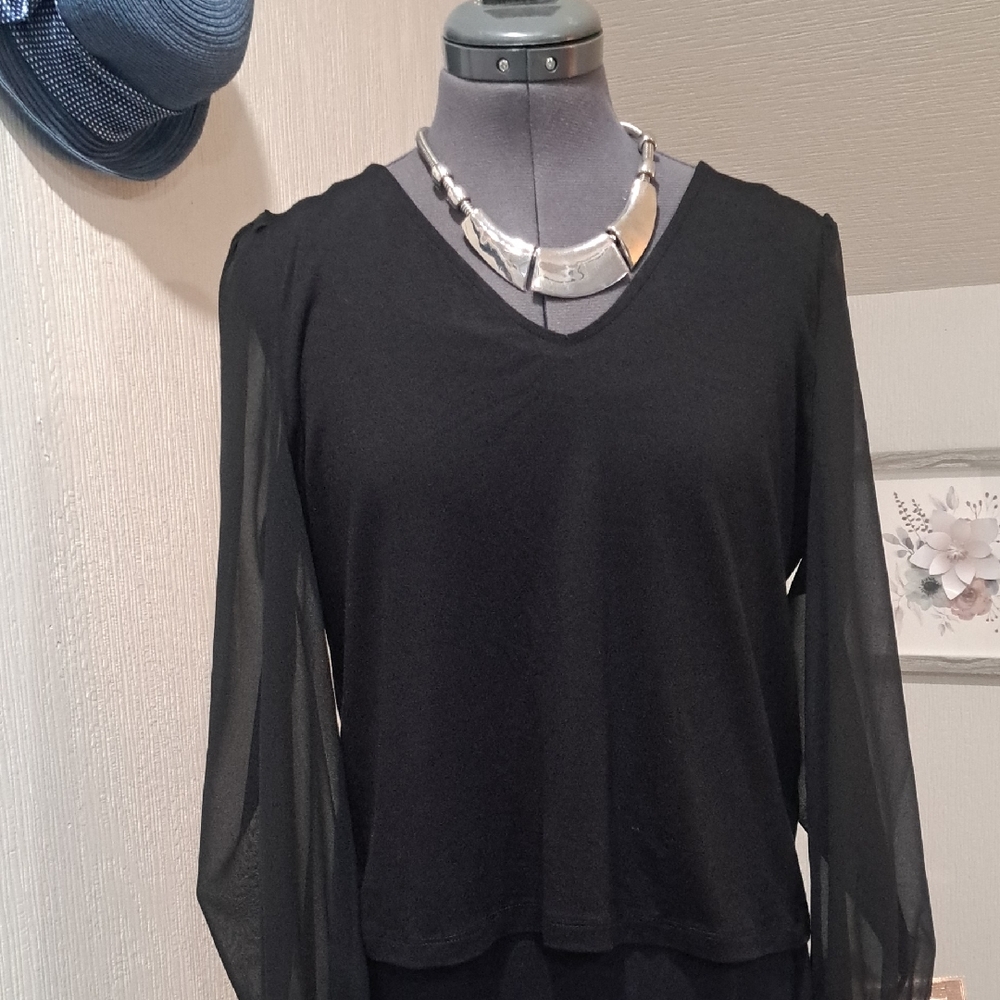 Highline Collective Chic Black V-Neck Blouse with Sheer Sleeves